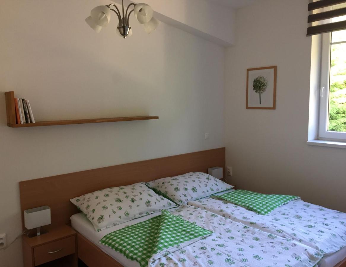 Apartman U Sjezdovky Velké Karlovice Exterior photo